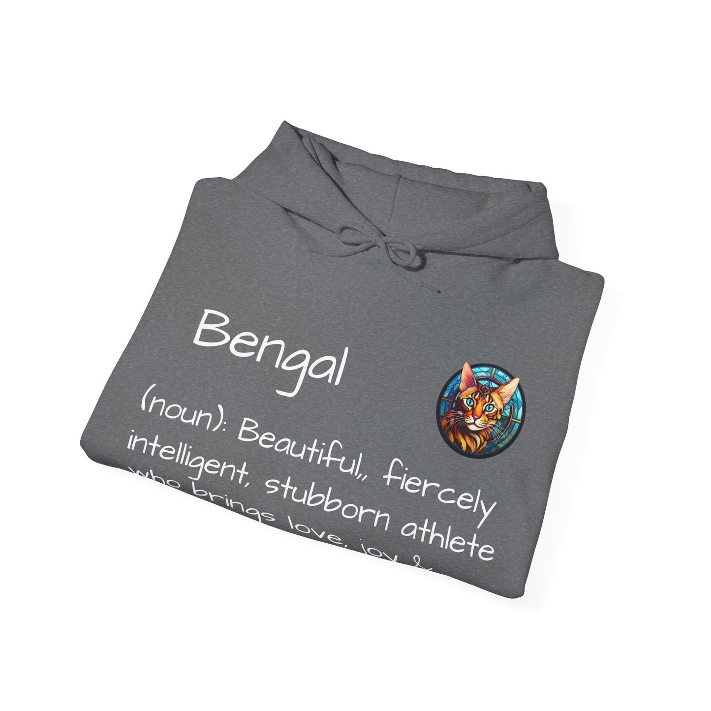 Definition Bengal Cat Unisex Heavy Blend™ Hooded Sweatshirt